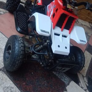 Best Kids 49cc Banshee