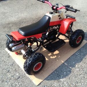 Best Mini 49cc Gas Banshee