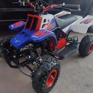 Best 49cc Gas Powered Banshee Bike for Kids